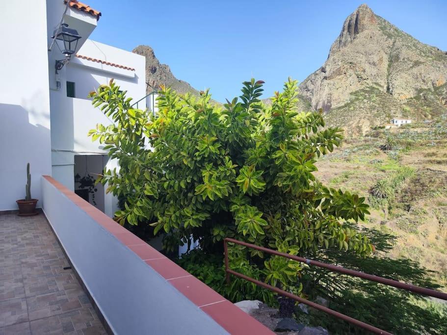 La Casa Vieja Santa Cruz de Tenerife